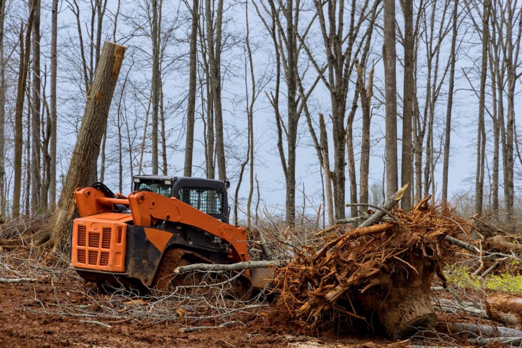 clearing land with a forestry mulcher