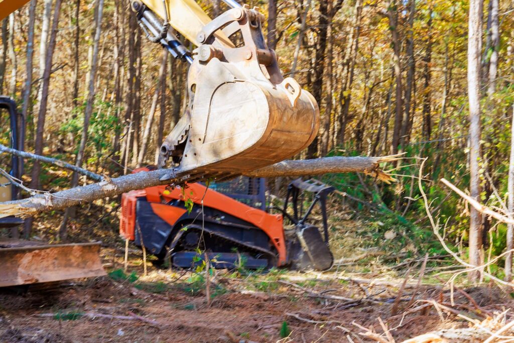 How Much Does Land Clearing Cost in Tallahassee? (2026 Guide)
