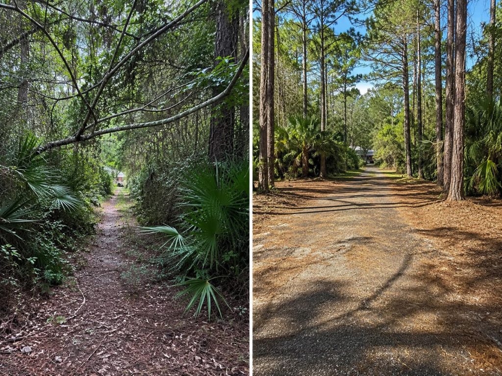before and after driveway clearing in Tallahassee