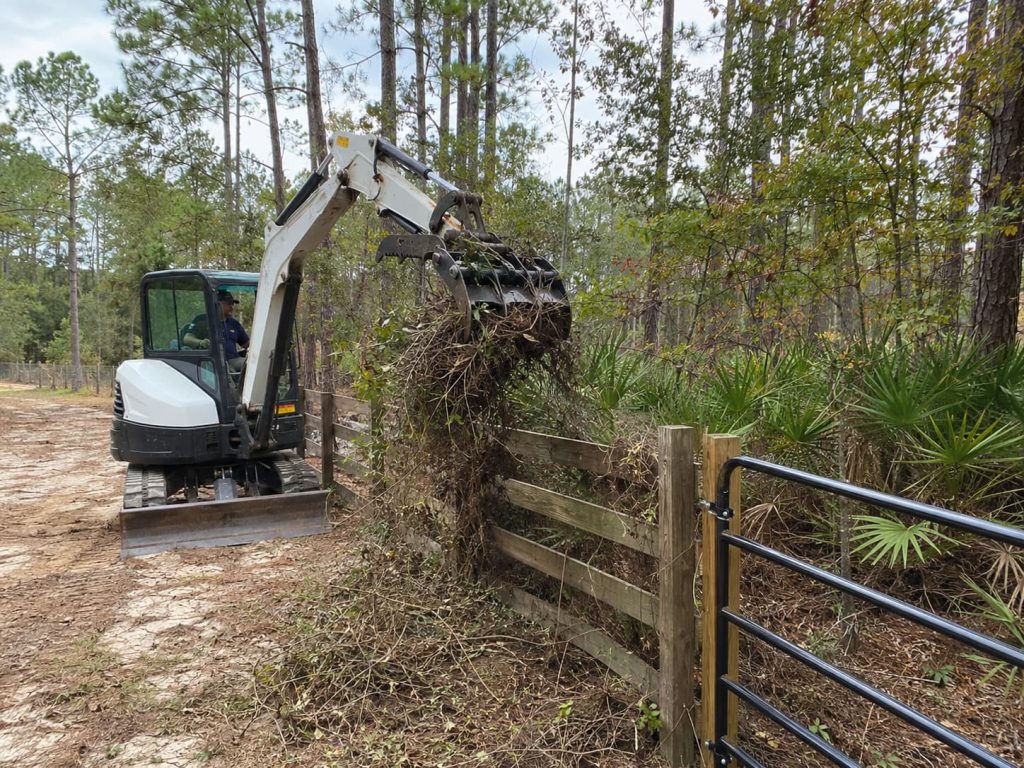 fence line clearing in Tallahassee, FL