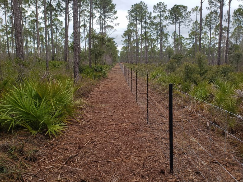 fence line clearing services in Tallahassee, FL
