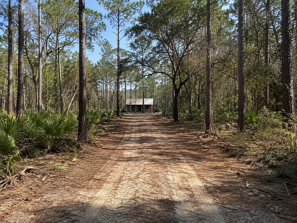 mulching driveways in Tallahassee, FL